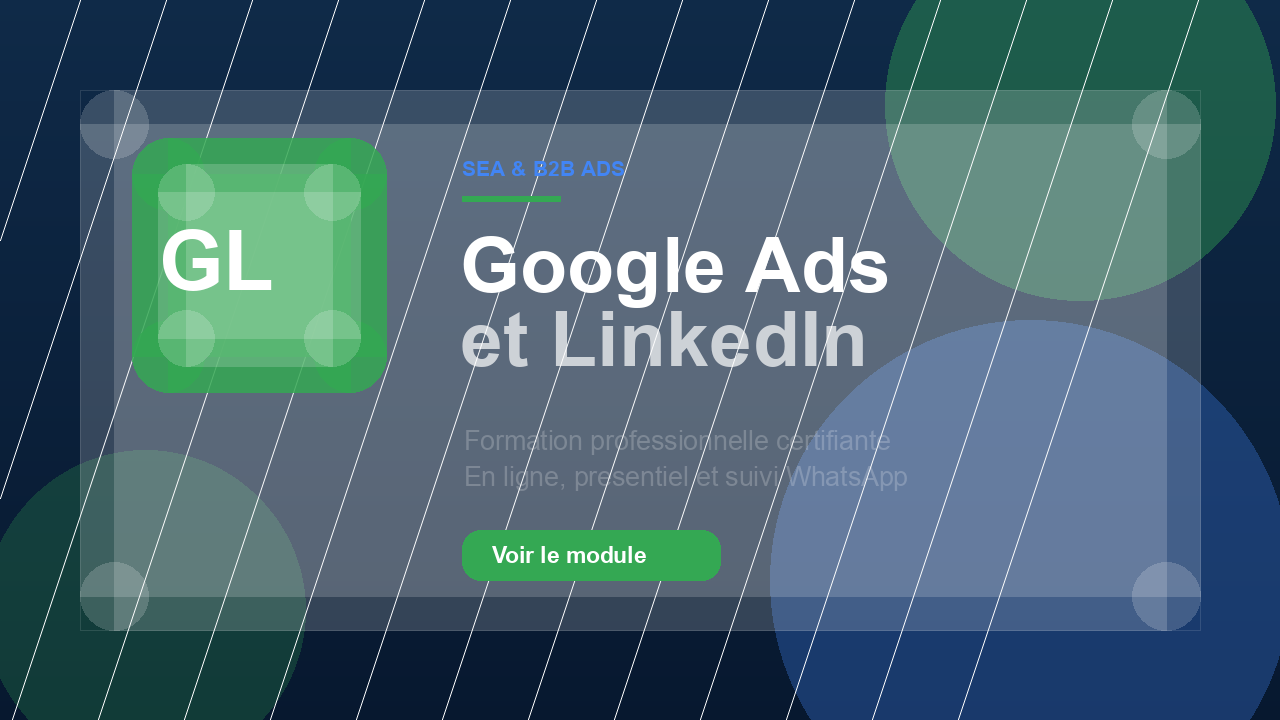 Publicité Google Ads et LinkedIn